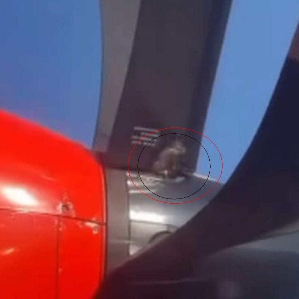 Viral Baling-Baling Pesawat Wings Air Diikat Kabel Tie, Ini Penjelasan Manajemen