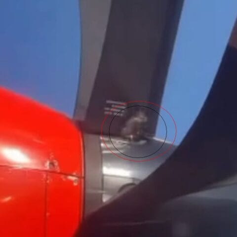 Viral Baling-Baling Pesawat Wings Air Diikat Kabel Tie, Ini Penjelasan Manajemen