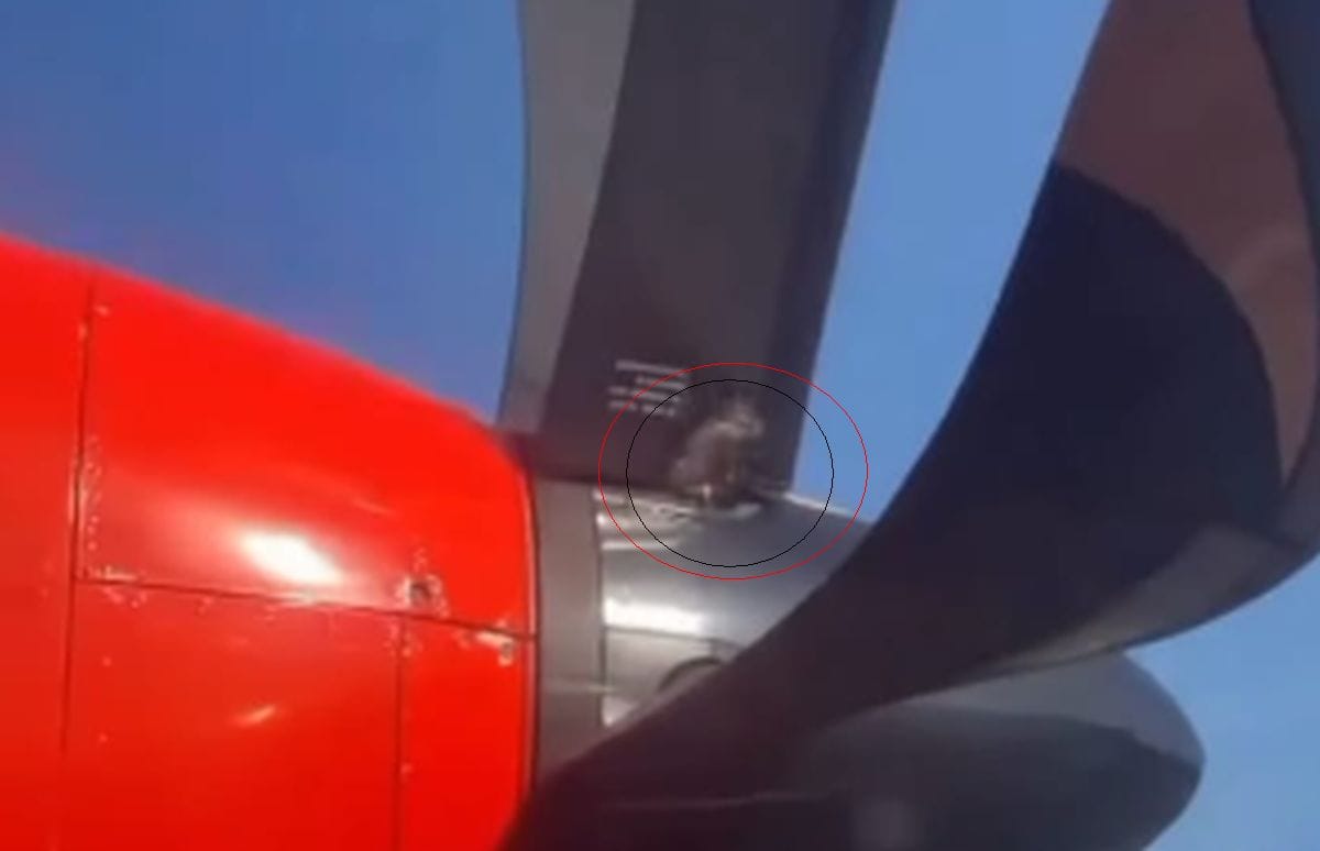 Viral Baling-Baling Pesawat Wings Air Diikat Kabel Tie, Ini Penjelasan Manajemen 1 Viral Baling-Baling Pesawat Wings Air Diikat Kabel Tie, Ini Penjelasan Manajemen