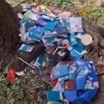 Viral Pemuda Terjatuh ke Sawah di Sigi, Menangis Sesenggukan karena Baru Putus Cinta 3 Viral Paspor Jamaah Haji Berserakan di BSD, Imigrasi Tangerang Lakukan Investigasi