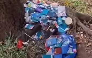 Viral Paspor Jamaah Haji Berserakan di BSD, Imigrasi Tangerang Lakukan Investigasi 6 Viral Paspor Jamaah Haji Berserakan di BSD, Imigrasi Tangerang Lakukan Investigasi