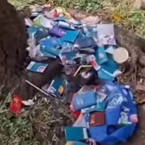 Viral Paspor Jamaah Haji Berserakan di BSD, Imigrasi Tangerang Lakukan Investigasi 14 Viral Paspor Jamaah Haji Berserakan di BSD, Imigrasi Tangerang Lakukan Investigasi
