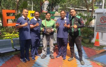Bus Dinas Kemhan Diduga Tabrak Lari Ojol, Kementerian Pertahanan Sebut Sudah Damai