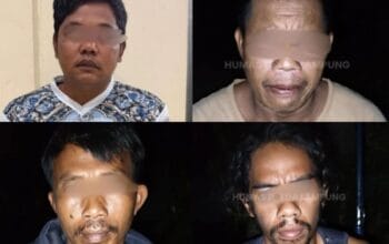 Empat Pelaku Pembunuhan Tapir Langka di Lampung Ditangkap