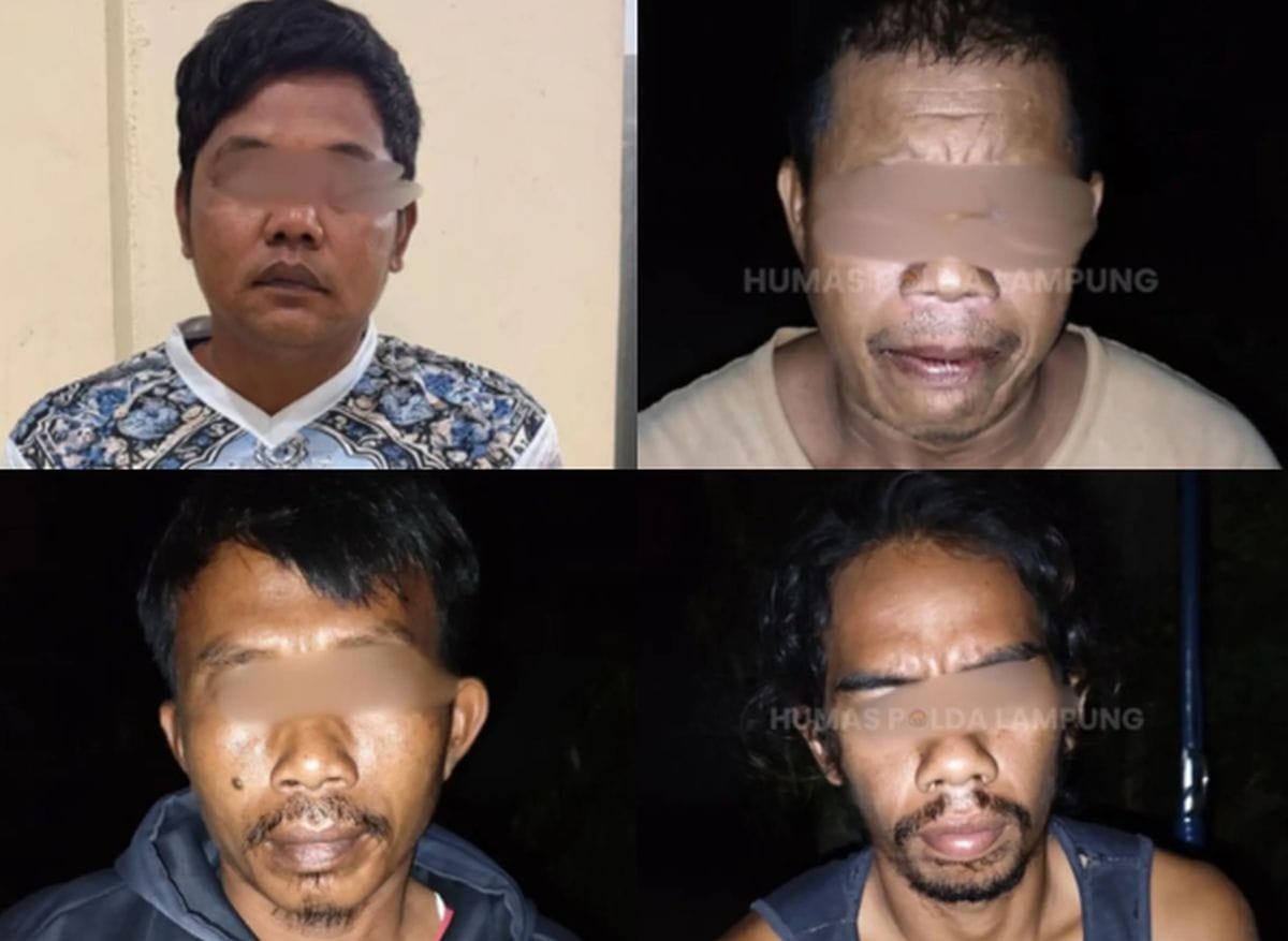 Empat Pelaku Pembunuhan Tapir Langka di Lampung Ditangkap 1 Empat Pelaku Pembunuhan Tapir Langka di Lampung Ditangkap