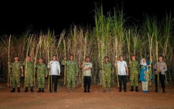 Gubernur Sulsel Panen Raya Tebu Bersama TNI, Tegaskan Dukungan Program Presiden Prabowo