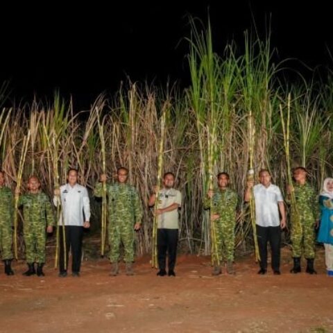 Gubernur Sulsel Panen Raya Tebu Bersama TNI, Tegaskan Dukungan Program Presiden Prabowo