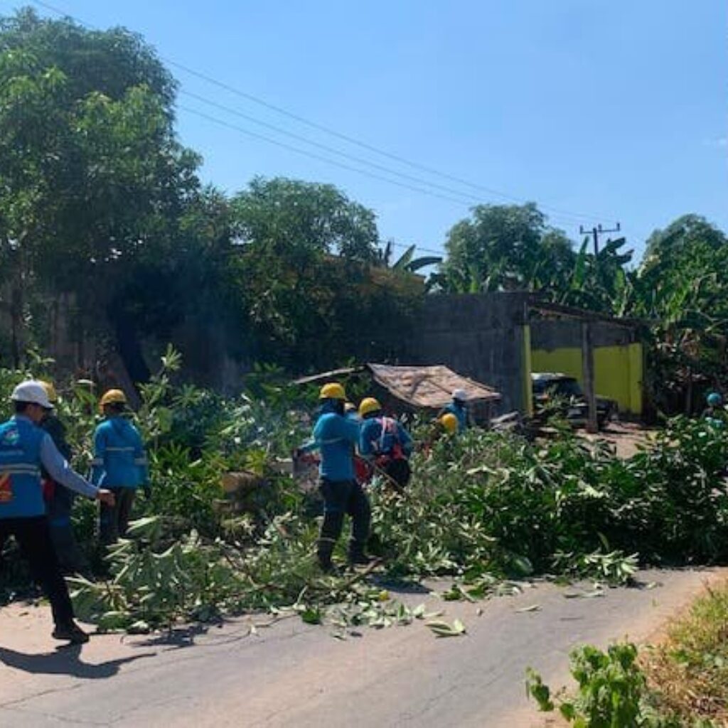 PLN UP3 Makassar Selatan Pangkas Pohon di Gowa Antisipasi Gangguan Listrik HUT RI
