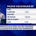 Prospek IPO Korporasi dan Sektor Potensi Cuan di Era Ketidakpastian
