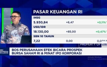 Prospek IPO Korporasi dan Sektor Potensi Cuan di Era Ketidakpastian