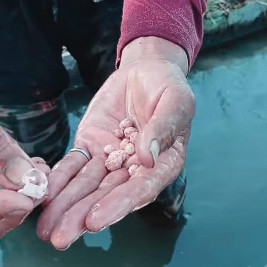 Viral Video Batu di Pupuk Phonska, Pupuk Indonesia Imbau Beli di Kios Resmi