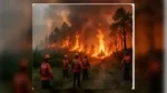 Ilustrasi AI realistis penanganan karhutla di Sulawesi Selatan