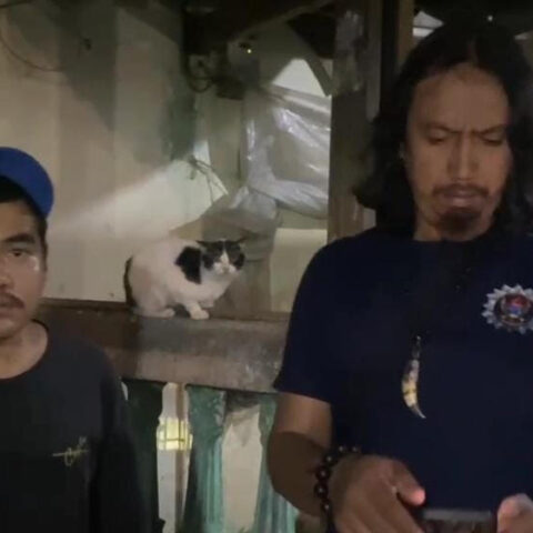 Bocah 12 Tahun di Makassar Diduga Disayat Cutter oleh Tetangga, Polisi Selidiki