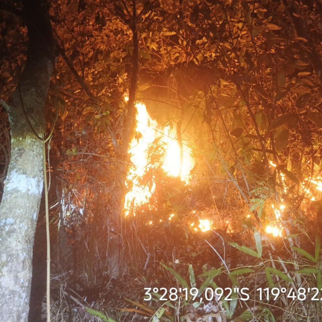 Gubernur Sulsel Andi Sudirman Ajak Masyarakat Cegah Kebakaran Hutan dan Lahan di Musim Kemarau