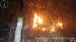 Gubernur Sulsel Andi Sudirman Ajak Masyarakat Cegah Kebakaran Hutan dan Lahan di Musim Kemarau
