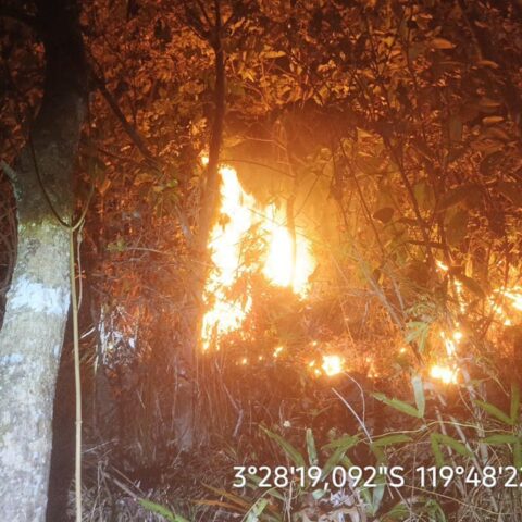 Gubernur Sulsel Andi Sudirman Ajak Masyarakat Cegah Kebakaran Hutan dan Lahan di Musim Kemarau