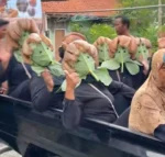 Ibu-ibu Desa Kedungwuluh Viral Naik Pikap Pakai Topeng Daun Talas di Karnaval HUT RI ke-81