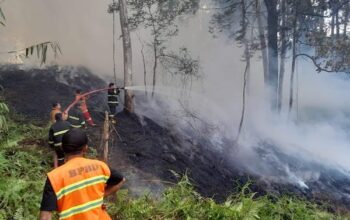 Kebakaran Lahan di Kesu Toraja Utara Hanguskan Satu Hektare, Diduga Akibat Pembukaan Lahan