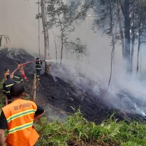 Kebakaran Lahan di Kesu Toraja Utara Hanguskan Satu Hektare, Diduga Akibat Pembukaan Lahan