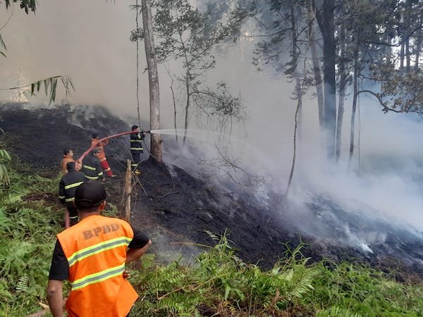 Kebakaran Lahan di Kesu Toraja Utara Hanguskan Satu Hektare, Diduga Akibat Pembukaan Lahan 1 Kebakaran Lahan di Kesu Toraja Utara Hanguskan Satu Hektare, Diduga Akibat Pembukaan Lahan