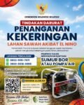 Pemprov Sulsel Siapkan Pompa Air dan Sumur Bor Mitigasi Kekeringan