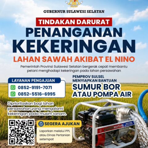 Pemprov Sulsel Siapkan Pompa Air dan Sumur Bor Mitigasi Kekeringan