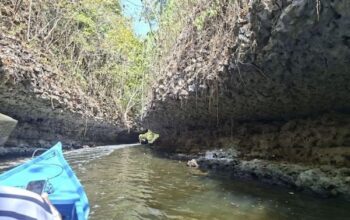 Perahu Listrik PLN Dorong Keberlanjutan Wisata Karst Rammang-Rammang