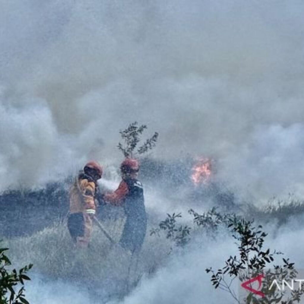 Ribuan Petugas dan Armada Udara Lawan Karhutla di Lahan Gambut Banjarbaru