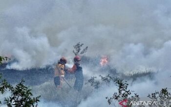 Ribuan Petugas dan Armada Udara Lawan Karhutla di Lahan Gambut Banjarbaru