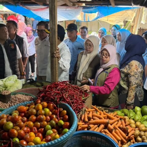Harga Cabai Rawit di Makassar Capai Rp85.000, TPID Sulsel Pantau Pasokan dan Distribusi 11 Harga Cabai Rawit di Makassar Capai Rp85.000, TPID Sulsel Pantau Pasokan dan Distribusi