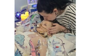Kisah Pilu Anak 3 Tahun Batuk Tak Kunjung Sembuh, Ternyata Idap Penyakit Jantung hingga Meninggal 6 Kisah Pilu Anak 3 Tahun Batuk Tak Kunjung Sembuh, Ternyata Idap Penyakit Jantung hingga Meninggal