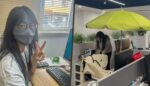 Tren Pekerja China Pakai Payung di Meja Kantor Lawan Paparan Cahaya dan Udara Kering
