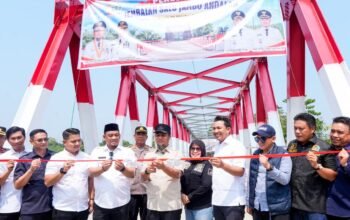 Gubernur Andi Sudirman Resmikan Jembatan Salujambu Andalan, Hubungkan Luwu dan Luwu Utara 6 Gubernur Andi Sudirman Resmikan Jembatan Salujambu Andalan, Hubungkan Luwu dan Luwu Utara