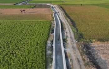 Irigasi Bilokka Capai 73,36%, Gubernur Andi Sudirman Targetkan Petani Sidrap Bisa Tiga Kali Tanam
