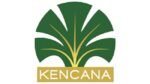 Kencana Agri Diselidiki Soal Karhutla di Kalimantan Utara, Perusahaan Klaim Api Merambat dari Luar