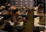 Kompetisi Tidur Matt Race Tokyo dengan Hadiah Rp255 Juta