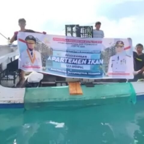 Nelayan di Kupa Barru panen ikan senilai Rp200 juta berkat program apartemen ikan Gubernur Andi Sudirman