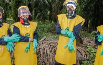 Menkop Dorong Pabrik Sawit Koperasi Berkapasitas 60 Ton per Jam